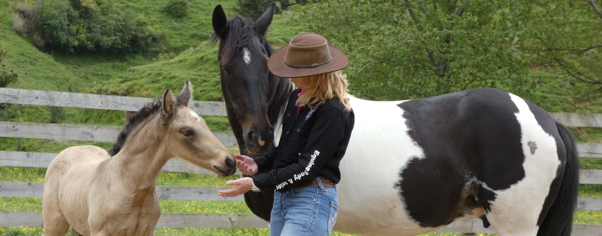 Equine Body & Mind with Nicola Vandenberg Equine Body & Mind with Nicola Vandenberg