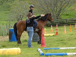 Individual 1 Hour Lesson Individual 1 Hour Lesson