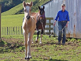 Training Custom Packages Training Custom Packages