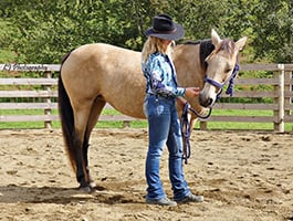 Short Term Boarding Short Term Boarding